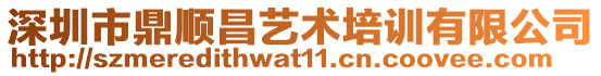 深圳市鼎順昌藝術培訓有限公司