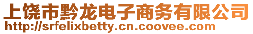 上饒市黔龍電子商務有限公司