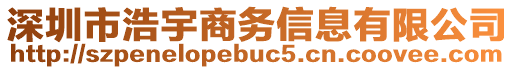 深圳市浩宇商務(wù)信息有限公司