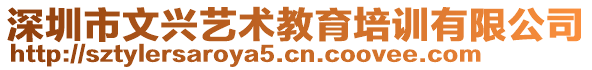 深圳市文興藝術(shù)教育培訓(xùn)有限公司