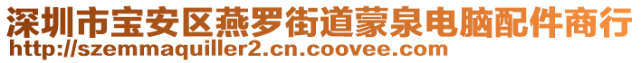深圳市寶安區燕羅街道蒙泉電腦配件商行