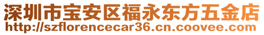 深圳市寶安區福永東方五金店
