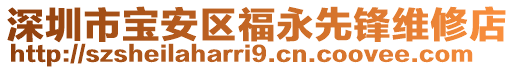 深圳市寶安區福永先鋒維修店