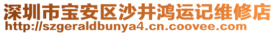 深圳市寶安區沙井鴻運記維修店