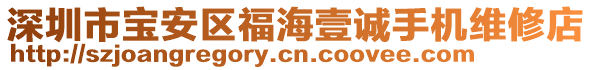 深圳市寶安區福海壹誠手機維修店