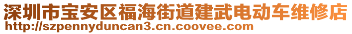 深圳市寶安區福海街道建武電動車維修店