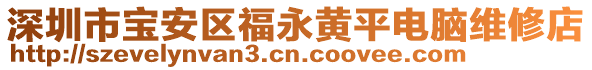 深圳市寶安區福永黃平電腦維修店