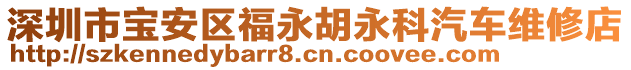 深圳市寶安區福永胡永科汽車維修店