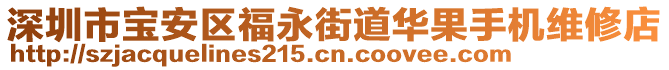 深圳市寶安區福永街道華果手機維修店