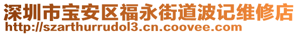 深圳市寶安區福永街道波記維修店