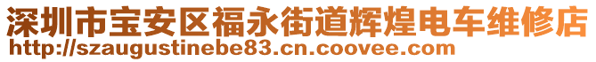 深圳市寶安區(qū)福永街道輝煌電車維修店