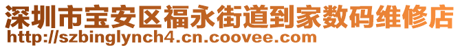 深圳市寶安區福永街道到家數碼維修店