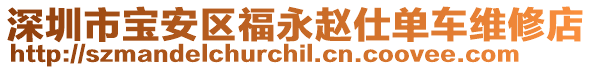 深圳市寶安區福永趙仕單車維修店