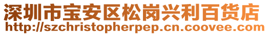 深圳市寶安區(qū)松崗興利百貨店