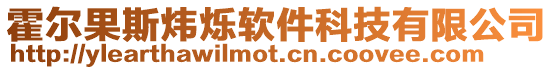 霍爾果斯煒爍軟件科技有限公司