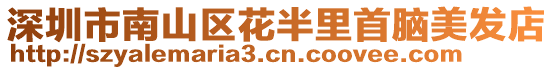 深圳市南山區花半里首腦美發店