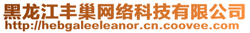 黑龍江豐巢網絡科技有限公司