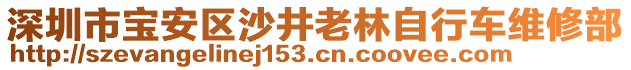 深圳市寶安區(qū)沙井老林自行車維修部