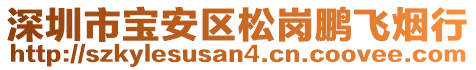 深圳市寶安區(qū)松崗鵬飛煙行