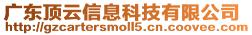 廣東頂云信息科技有限公司