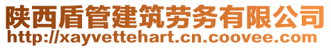 陜西盾管建筑勞務有限公司