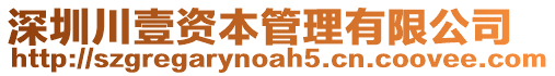深圳川壹資本管理有限公司