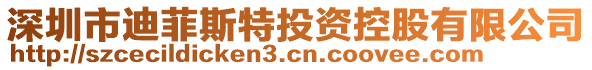 深圳市迪菲斯特投資控股有限公司