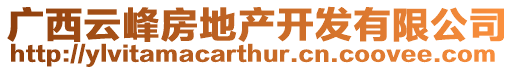 廣西云峰房地產(chǎn)開發(fā)有限公司