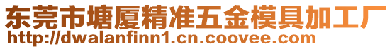 東莞市塘廈精準(zhǔn)五金模具加工廠