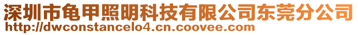 深圳市龜甲照明科技有限公司東莞分公司