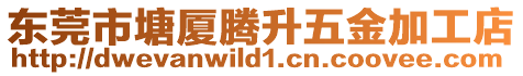 東莞市塘廈騰升五金加工店