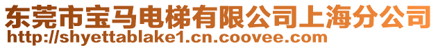 東莞市寶馬電梯有限公司上海分公司