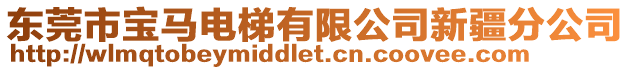 東莞市寶馬電梯有限公司新疆分公司