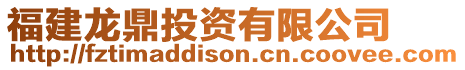 福建龍鼎投資有限公司