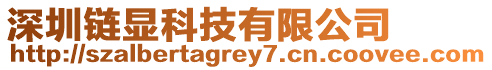 深圳鏈顯科技有限公司