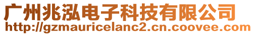 廣州兆泓電子科技有限公司