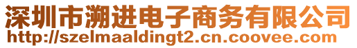 深圳市溯進電子商務有限公司