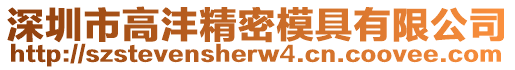 深圳市高灃精密模具有限公司