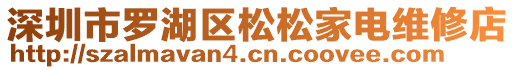 深圳市羅湖區(qū)松松家電維修店