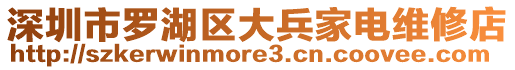 深圳市羅湖區(qū)大兵家電維修店