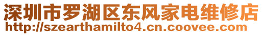 深圳市羅湖區(qū)東風(fēng)家電維修店