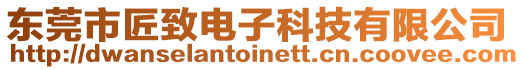 東莞市匠致電子科技有限公司