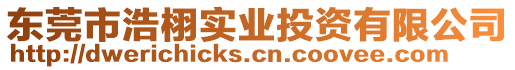 東莞市浩栩?qū)崢I(yè)投資有限公司
