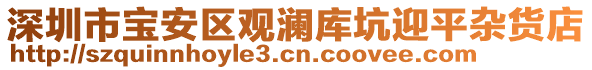 深圳市寶安區(qū)觀瀾庫坑迎平雜貨店