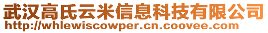 武漢高氏云米信息科技有限公司