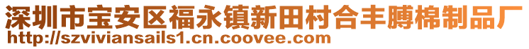 深圳市寶安區福永鎮新田村合豐膊棉制品廠