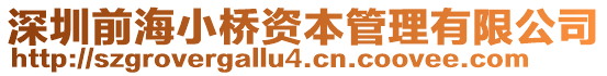 深圳前海小橋資本管理有限公司