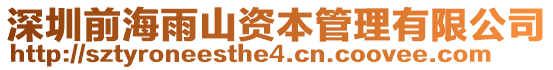 深圳前海雨山資本管理有限公司