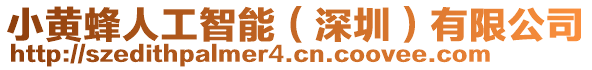 小黃蜂人工智能(深圳)有限公司