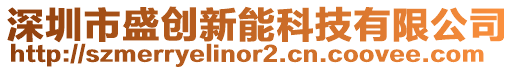 深圳市盛創新能科技有限公司